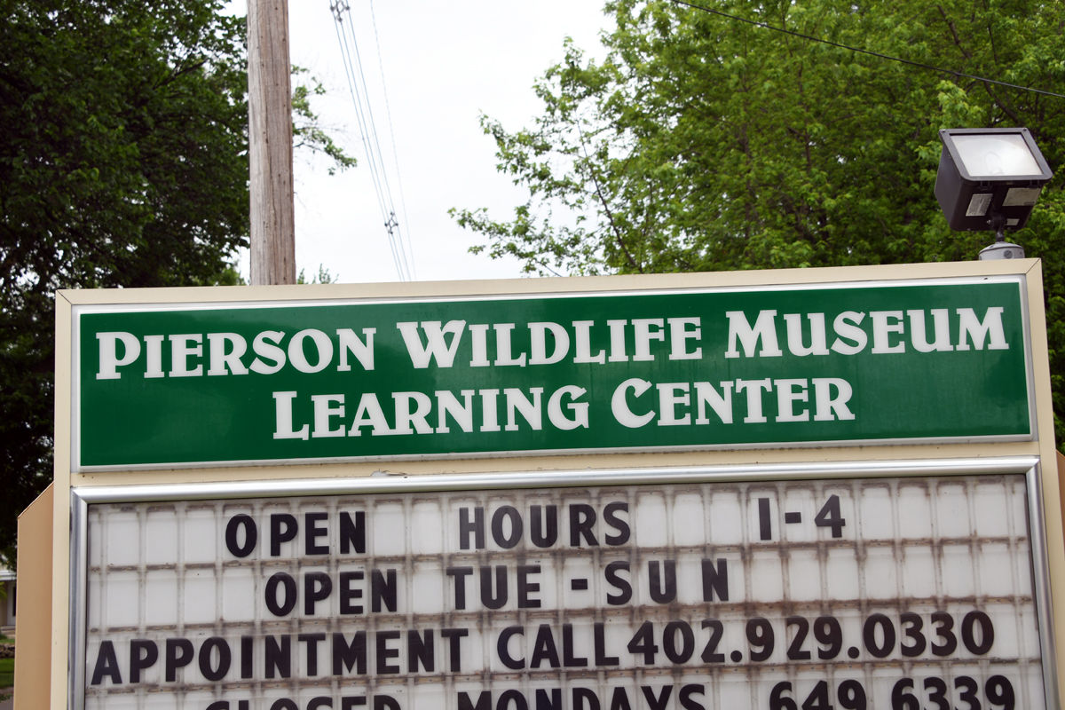 154 Pierson Wildlife Museum in in Neligh, NE.JPG